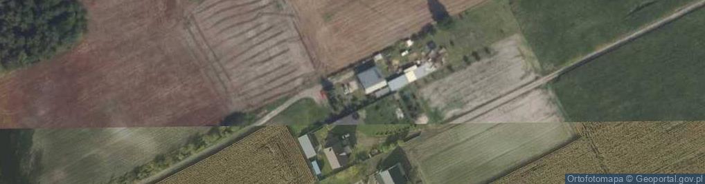 Zdjęcie satelitarne PPHU Oliwka