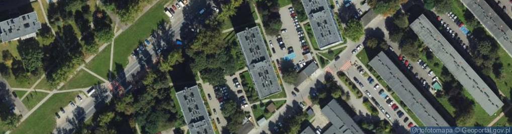 Zdjęcie satelitarne Prace Porządkowe