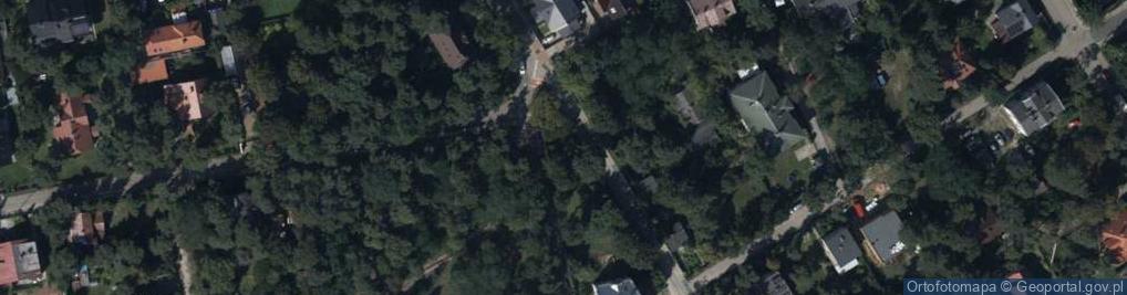 Zdjęcie satelitarne Pracownia Warszawska.Aleksandra Kurowska