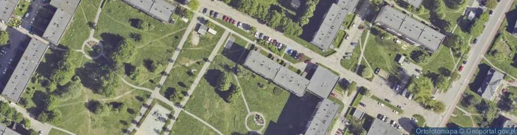 Zdjęcie satelitarne Precision Service Tomasz Białowąs