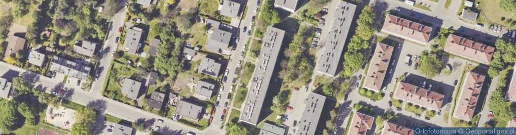 Zdjęcie satelitarne Prodrew Sławomir Dzienis Andrzej Stolecki