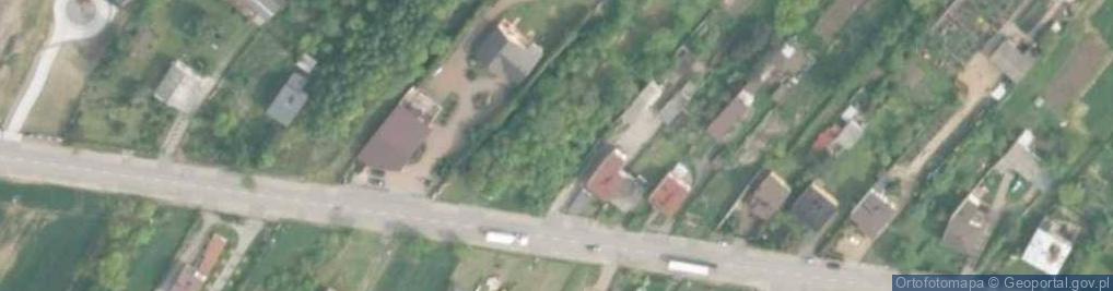 Zdjęcie satelitarne Produkcja i Handel Choinkami Sztucznymi