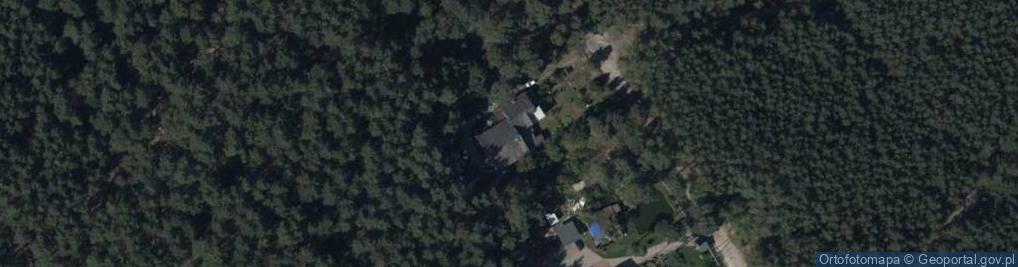 Zdjęcie satelitarne Produkcja Pieczarek