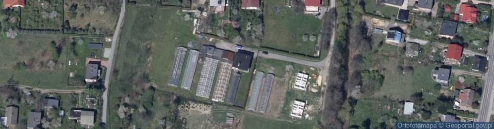 Zdjęcie satelitarne Produkcja Rolna Uprawa Warzyw Kwiatów Janusz Burzej