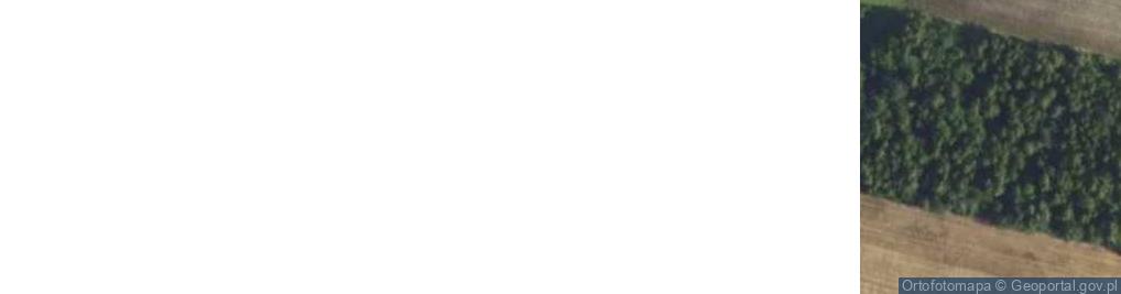 Zdjęcie satelitarne Profesjonalne Świece do Świecowania Uszu