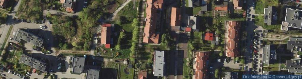 Zdjęcie satelitarne Project Management - Łukasz Tomala