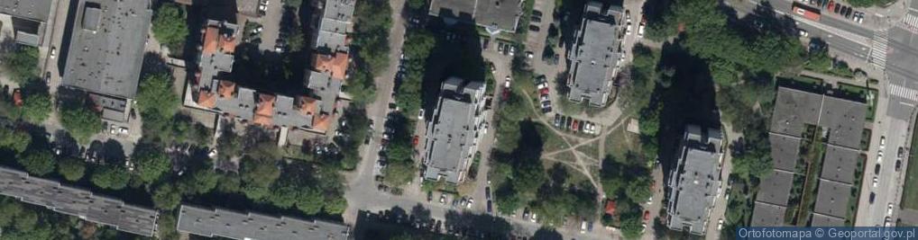 Zdjęcie satelitarne "Projekt" Kruszelnicki Marcin