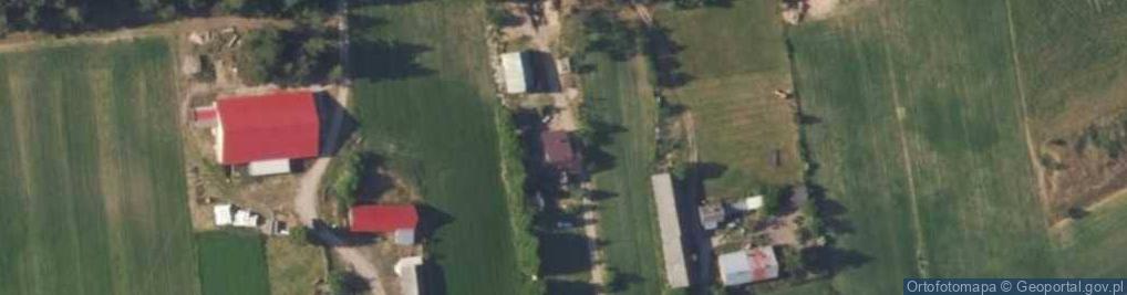Zdjęcie satelitarne Przecieranie Drzewa Skup i Sprzedaż