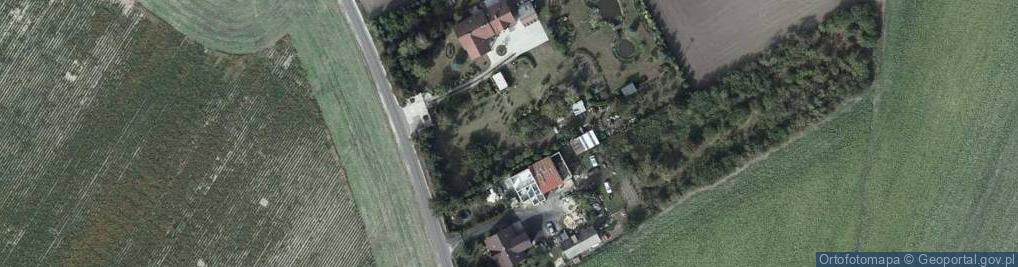 Zdjęcie satelitarne Przeds Prod Usł Profil Bąk Wojciech Domański S Stępień w