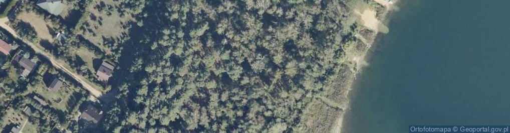 Zdjęcie satelitarne Przedsiębiorstwo Handlowo-Usługowe Greg-Pol Grzegorz Olejniczak