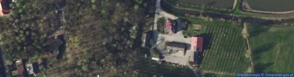 Zdjęcie satelitarne Przedsiębiorstwo Transportowo Handlowe