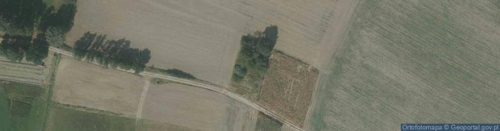 Zdjęcie satelitarne Przedsiębiorstwo Usługowo Handlowe