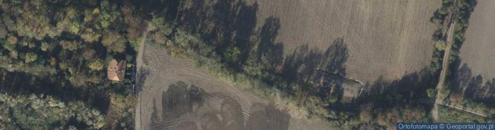 Zdjęcie satelitarne Przedsiębiorstwo Wielobranżowe Tranz Oil