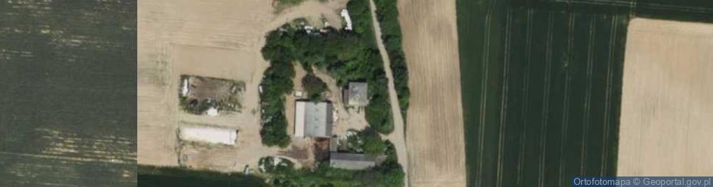 Zdjęcie satelitarne Przemysław Pałęga