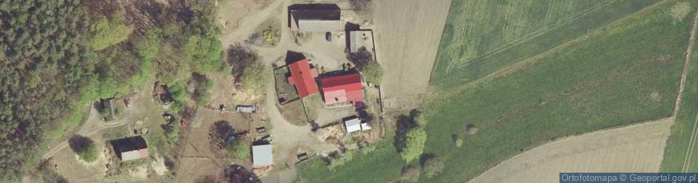 Zdjęcie satelitarne Przeróbka Drewna Elementy i Palety Drewniane