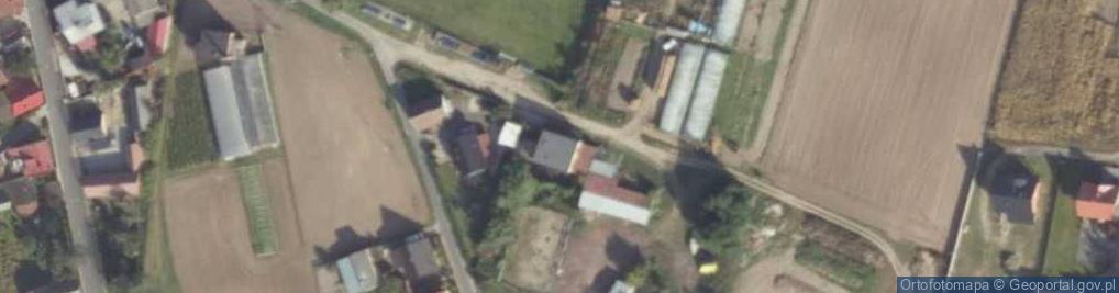Zdjęcie satelitarne Przetwórstwo Drewna Grotniki