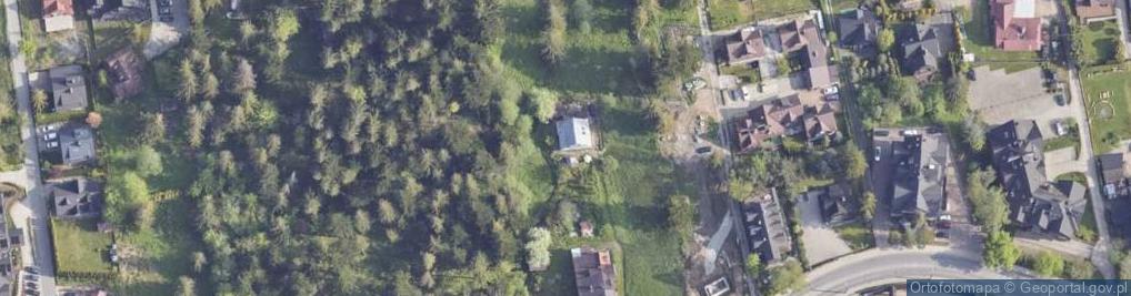 Zdjęcie satelitarne Przewóz Osób Minibusem