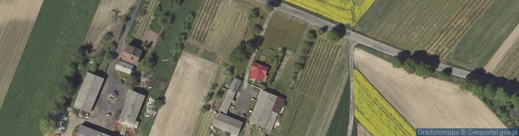 Zdjęcie satelitarne Przewóz Zwłok Transport Pogrzebowy