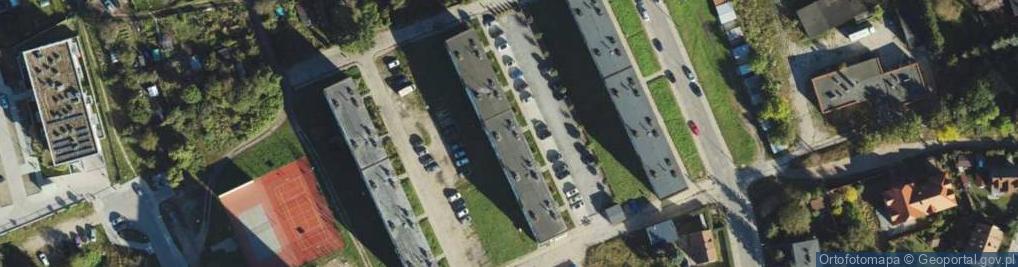 Zdjęcie satelitarne Przewoźnik