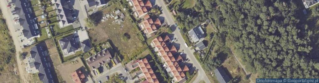 Zdjęcie satelitarne Psia Kość