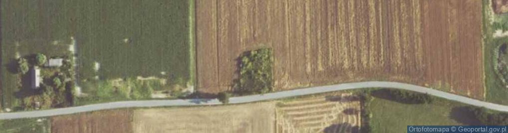 Zdjęcie satelitarne Psyche Agnieszka Tomaszewska