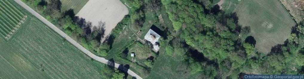 Zdjęcie satelitarne Publiczna Szkoła Podstawowa w Przegalinach Dużych Maria Wasyluk