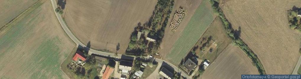 Zdjęcie satelitarne Publiczny Transport Drogowy