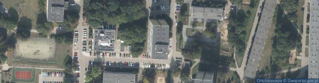 Zdjęcie satelitarne Publiczny Transport Osobowy i Handel