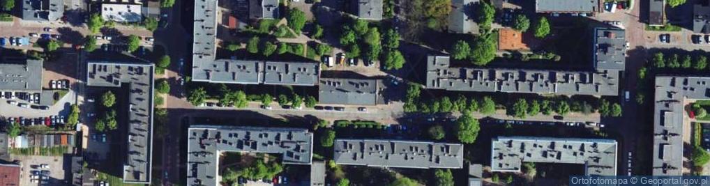 Zdjęcie satelitarne Punkt Handlowy