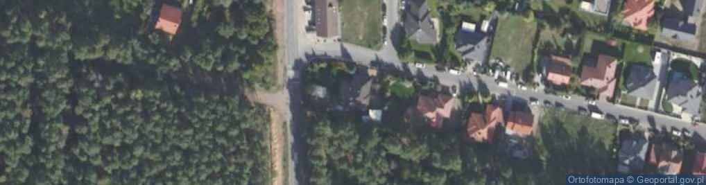 Zdjęcie satelitarne Quercus