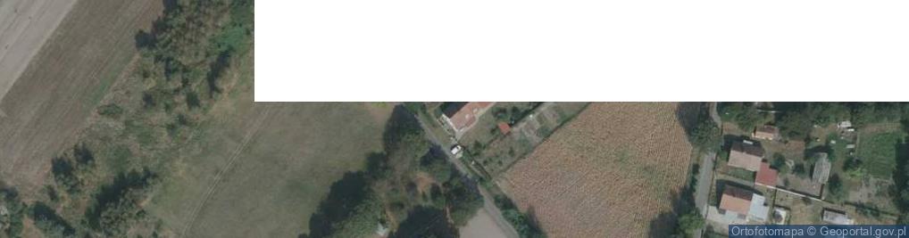 Zdjęcie satelitarne Rai Bud