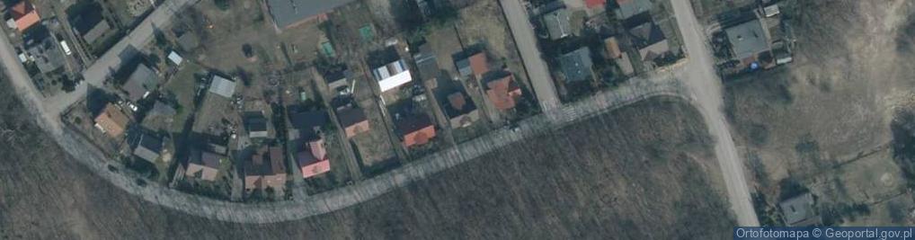 Zdjęcie satelitarne RAINFORESTMonika Siemiątkowska