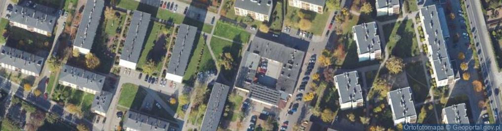 Zdjęcie satelitarne Rajmund Roskosz Art-Dom