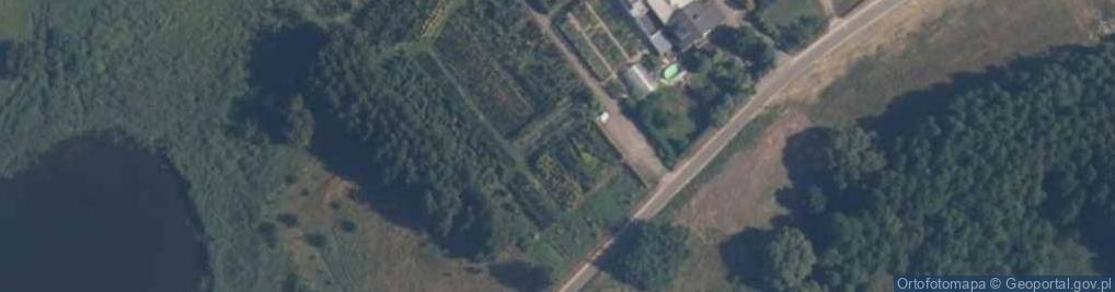 Zdjęcie satelitarne Rajski Ogród Firma Usługowo - Ogrodnicza