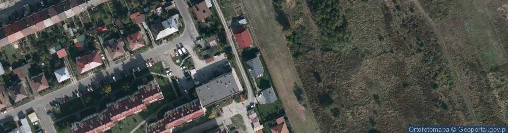 Zdjęcie satelitarne Ratownik Trio