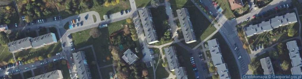 Zdjęcie satelitarne REAL