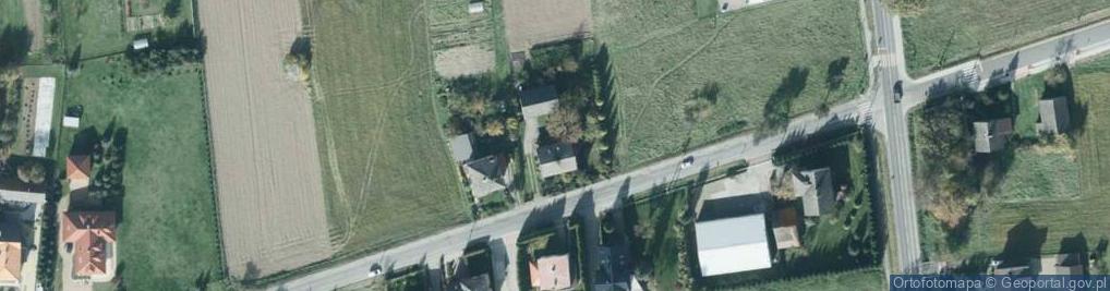 Zdjęcie satelitarne Regina Luranc - Działalność Gospodarcza