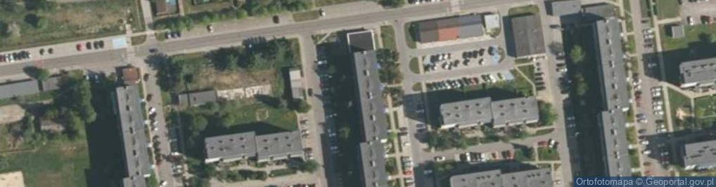 Zdjęcie satelitarne Regina Majerska - Działalność Gospodarcza