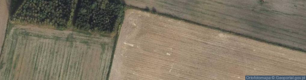 Zdjęcie satelitarne Rejniak i Raczkowski Dział Usł Handl Raczkowski Waldemar Rejniak M