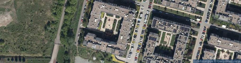 Zdjęcie satelitarne Revolta Art Mateusz Szukalski