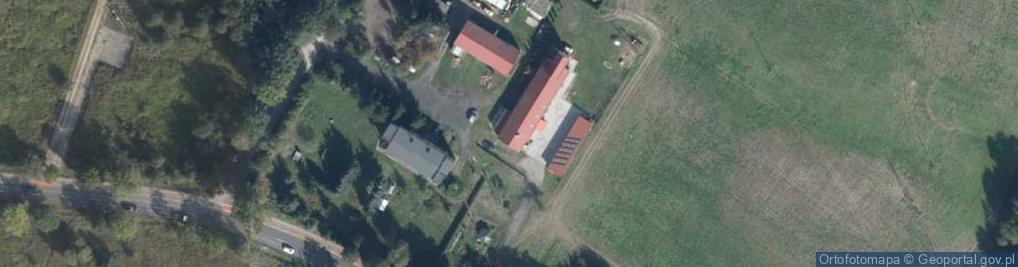 Zdjęcie satelitarne Robert Dankowski Robson