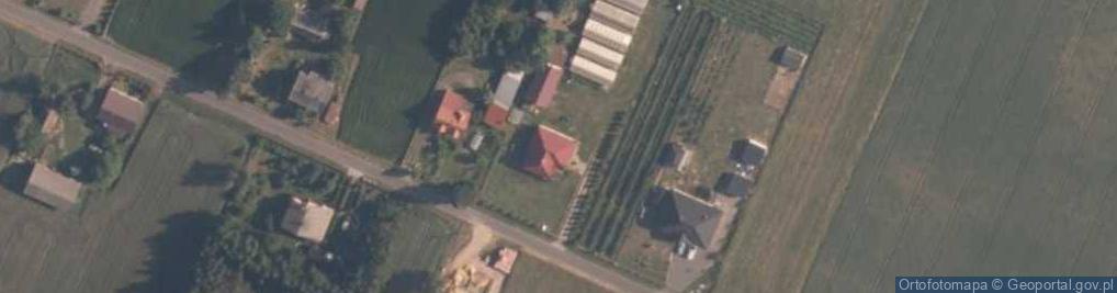 Zdjęcie satelitarne Robert Frankowski Uprawa Grzybów