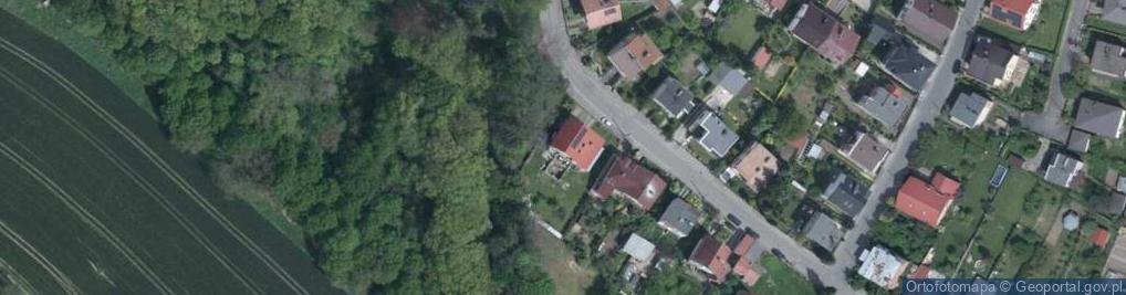 Zdjęcie satelitarne Robert Sagan - Działalność Gospodarcza