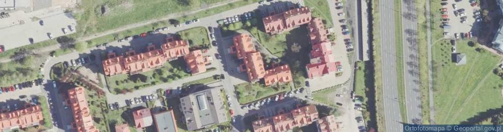 Zdjęcie satelitarne Rodan Leszno