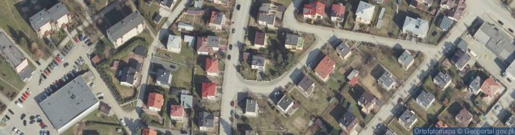 Zdjęcie satelitarne Roing Romanow Jerzy