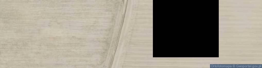 Zdjęcie satelitarne Rolnicza Spółdzielnia Produkcyjna Wola Ludu