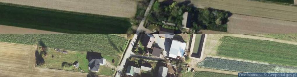 Zdjęcie satelitarne Roman Cebula