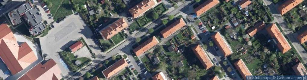 Zdjęcie satelitarne Roman Gałecki