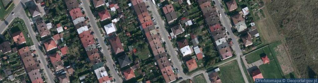 Zdjęcie satelitarne Roman Piekło - Działalność Gospodarcza