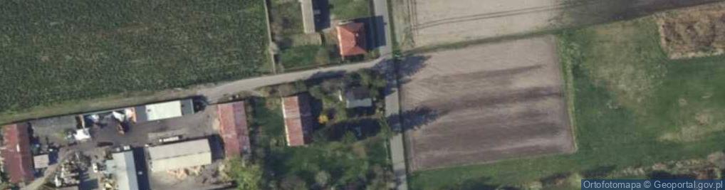 Zdjęcie satelitarne Roman Sut P.H.U.Sutpol Rogóźno 66, 99-434 Domaniewice